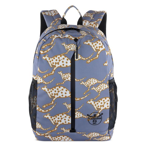 Chiemsee Jump N Fly Daypack 43 cm Laptopfach