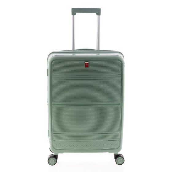 Gladiator 3500 4 Rollen Trolley 65 cm mit Dehnfalte