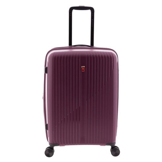 Gladiator 5000 4 Rollen Trolley 63 cm mit Dehnfalte