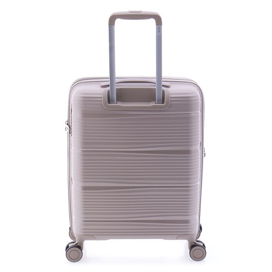 Gladiator 0800 4 Rollen Kabinentrolley 55 cm mit Dehnfalte