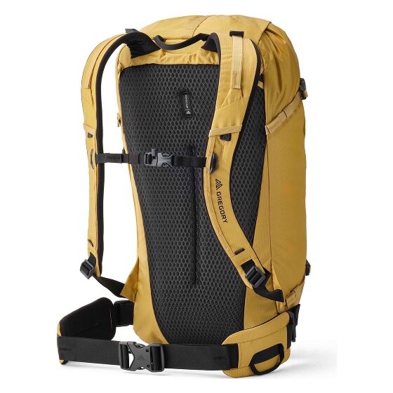 Gregory Alpinisto 30 L Daypack 58 cm