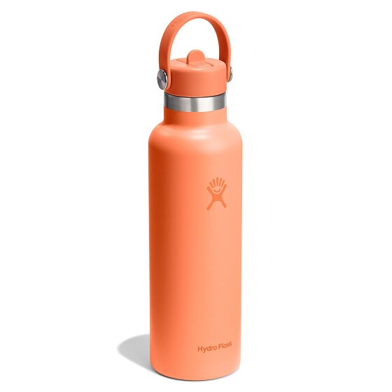 Hydro Flask Hydration Standard Flex Straw Cap Trinkflasche 620 ml