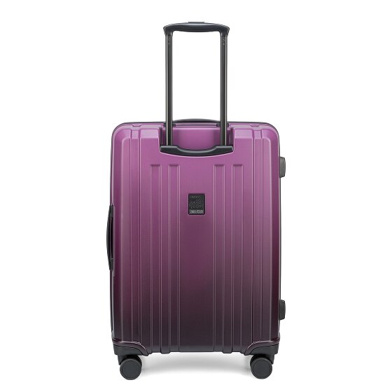 Epic Crate EX Wildlife 4 Rollen Kofferset 3-teilig