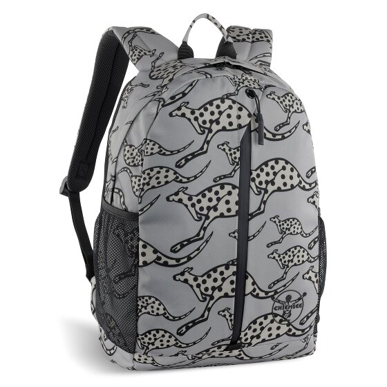 Chiemsee Jump N Fly Daypack 43 cm Laptopfach
