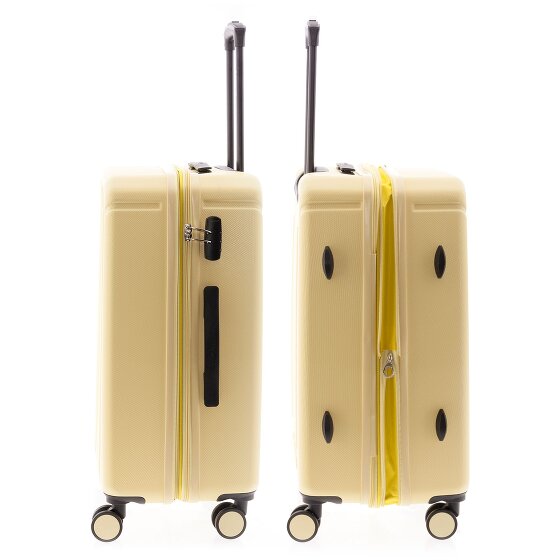 Gladiator 2900 4 Rollen Trolley M 67 cm mit Dehnfalte
