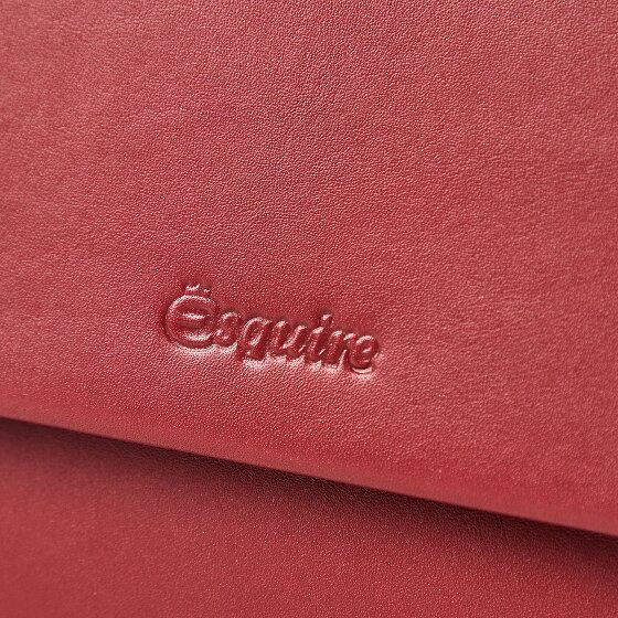 Esquire Silk Geldbörse RFID Schutz Leder 14 cm