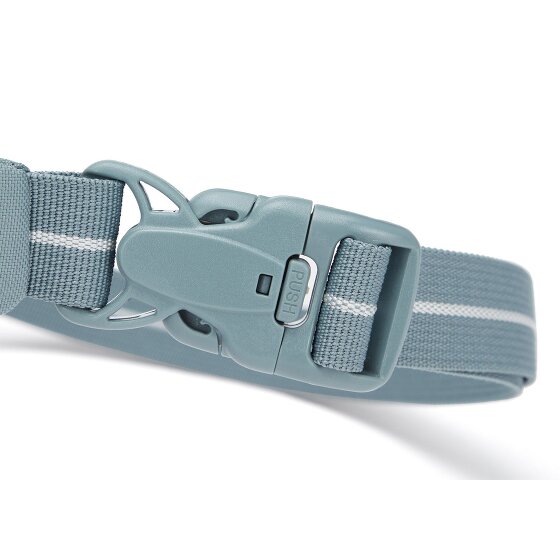 Pacsafe Pacsafe Go Gürteltasche RFID Schutz 27 cm