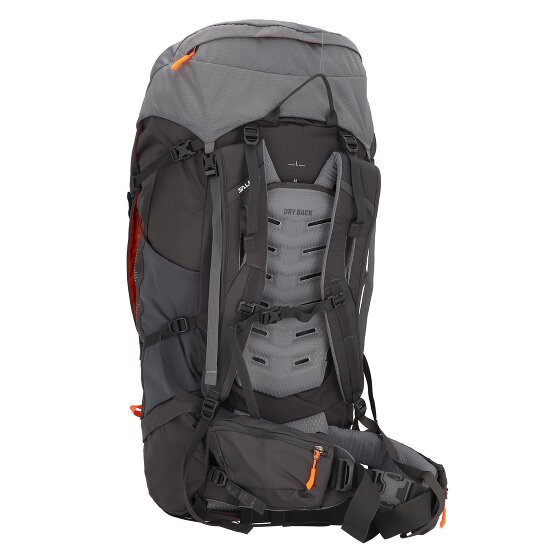 Salewa Alptrek 65 Pro Rucksack 81 cm
