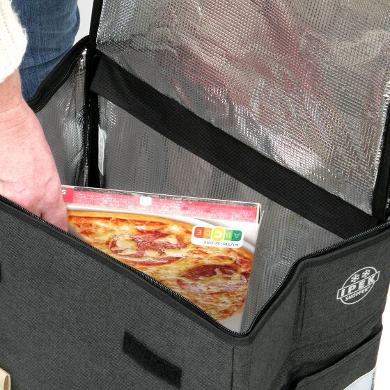 Andersen Shopper Scala Shopper Plus Ipek Ma Einkaufstrolley 48 cm