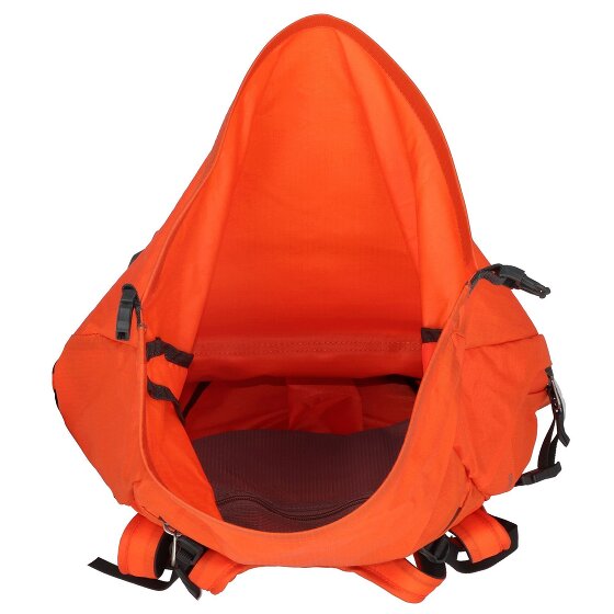 Salewa Ortles Wall 38L Rucksack 64 cm