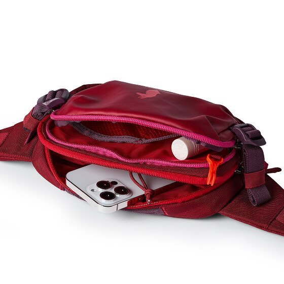 Cotopaxi Allpa Gürteltasche 24 cm