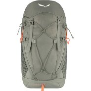 Salewa Alp Trainer 30 Trekkingrucksack 65 cm Produktbild