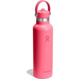 Hydro Flask Hydration Standard Flex Straw Cap Trinkflasche 620 ml  Variante 10