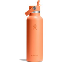 Hydro Flask Hydration Standard Flex Straw Cap Trinkflasche 620 ml  Variante 3