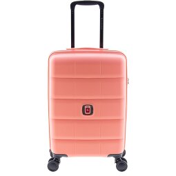 Gladiator 2700 4 Rollen Trolley 55 cm  Variante 4