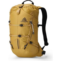 Gregory Alpinisto 20 L Trekkingrucksack 50 cm  Variante 1