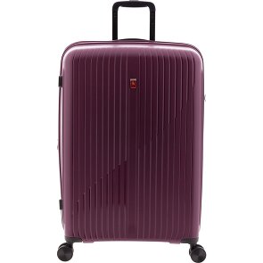 Gladiator 5000 4 Rollen Trolley 73 cm mit Dehnfalte