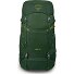 Ace 38 Trekkingrucksack 64 cm Variante green canopy-matcha green