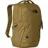  Vault Rucksack 46 cm Laptopfach Variante cedar