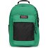  Study Buddy Daypack 44 cm Laptopfach Variante shamrock green