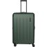  Dynamiic 4 Rollen Trolley L 76 cm mit Dehnfalte Variante grün
