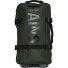  Texel 2 Rollen Kabinentrolley S 54 cm Variante green