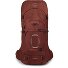 Aether 65 Trekkingrucksack L-XL 80 cm Variante acorn red
