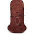  Aether 65 Trekkingrucksack L-XL 80 cm Variante acorn red