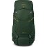  Ace 50 Trekkingrucksack 67 cm Variante green canopy-matcha green