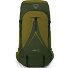  Atmos 65 Trekkingrucksack L-XL 90 cm Variante scenic valley-green peppercorn