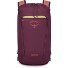  Daylite 0 Daypack 41 cm Variante moody burgundy