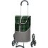  Treppensteiger Royal Gese Einkaufstrolley 59 cm Variante grün