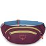  Daylite Waist Gürteltasche 45 cm Variante moody burgundy