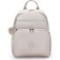  Basic Plus Daypack 40 cm Laptopfach Variante metallic glow