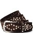  Nietengürtel Leder Variante dark brown | 85 cm