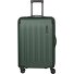  Dynamiic 4 Rollen Trolley 66 cm mit Dehnfalte Variante grün