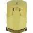 Rotsoord 25+5 Daypack 52 cm Laptopfach Variante linden-cactus
