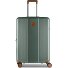  Ferrara 4 Rollen Trolley M 67 cm mit Dehnfalte Variante green