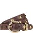  Nietengürtel Leder Variante dark brown | 85 cm