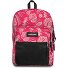  Pinnacle Daypack 42 cm Variante brize pink beige