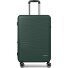  Dallas 3.0 4 Rollen Trolley M 65 cm mit Dehnfalte Variante olive