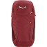  Alp Trainer 20L Rucksack 55 cm Variante syrah