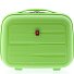  0800 Beautycase 34 cm Variante light green