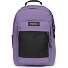  Study Buddy Daypack 44 cm Laptopfach Variante bouquet lilac