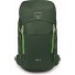  Jet 28 Wanderrucksack 55 cm Variante green canopy-limeline green